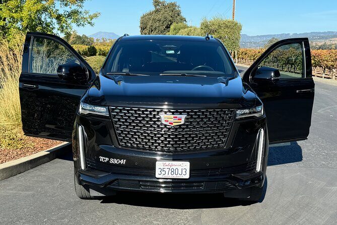 Wine Tours for 6 Hours and Private Transportation Services - Who Is This Tour Best For?