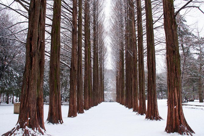 Winter Sonata TV Tour on Nami Island from Seoul - Authentic Experiences and Practical Details