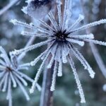 Winter Valley and Forest Hike - Who Will Enjoy This Tour?