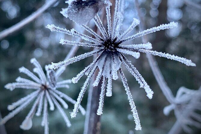 Winter Valley and Forest Hike - Who Will Enjoy This Tour?