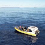 Winter Whale Watching Adventure in Kauai - A Detailed Look at the Winter Whale Watching Adventure in Kauai