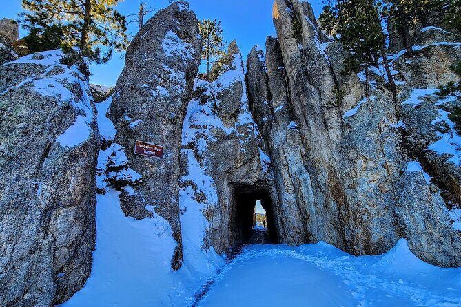 Winter Yellowstone, Grand Teton, and Mount Rushmore 7-day Tour - What We Think: The Real Value of This Tour