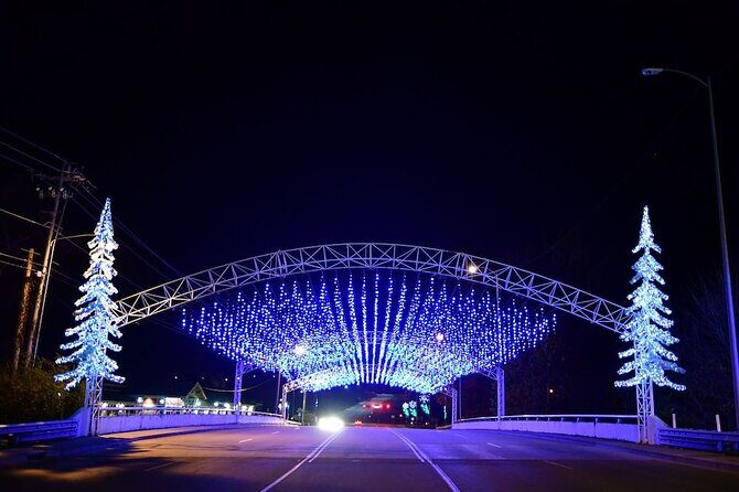 Winterfest Scenic Evening Tour - What to Expect from the Experience