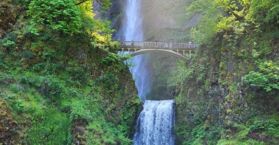 Wonderful Waterfalls of Columbia River Gorge Tour - Who Will Love This Tour?