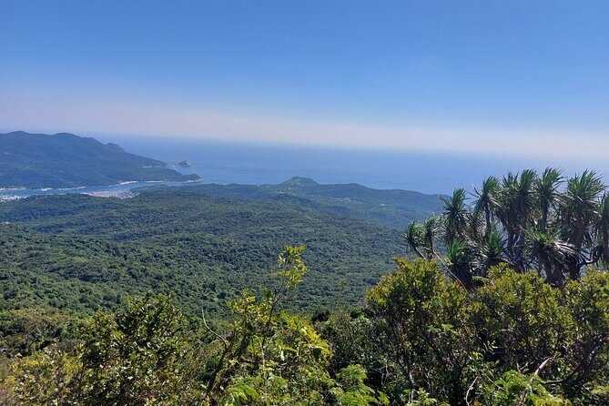 Wonders of Nui Chua National Park - Day Trek in Vinh Hy Bay - The Sum Up: Who Should Consider This Tour?