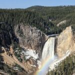 Wonders of Yellowstone Lower Loop Private Tour with Lunch - Why This Tour Offers Great Value