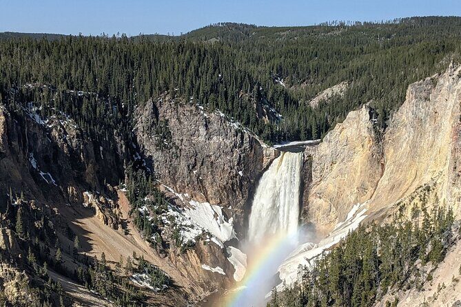 Wonders of Yellowstone Lower Loop Private Tour with Lunch - Why This Tour Offers Great Value