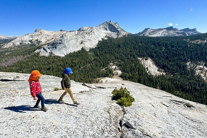 Wonders of Yosemite: Kid Friendly Private Tour - The Itinerary: A Custom-Tailored Journey