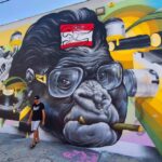 Wynwood walking tour in French (2h) - Who Will Love This Tour?