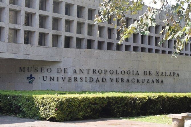 Xalapa and its aroma of coffee. Fall in love! - The Experience: What to Expect