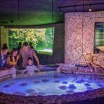 Xcaret Park Day Trip, transportation and Cultural Night Show - A Detailed Look at the Xcaret Day Trip