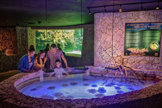 Xcaret Park Day Trip, transportation and Cultural Night Show - A Detailed Look at the Xcaret Day Trip