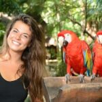 Xcaret Park Plus Access with Transportation and Night Show - Possible Drawbacks and Considerations