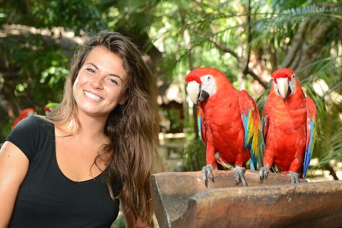 Xcaret Park Plus Access with Transportation and Night Show - Possible Drawbacks and Considerations