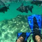 Xel-ha All Inclusive Tour - The Natural Wonder of Xel-Há: A Practical, Authentic Experience