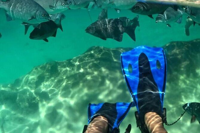 Xel-ha All Inclusive Tour - The Natural Wonder of Xel-Há: A Practical, Authentic Experience