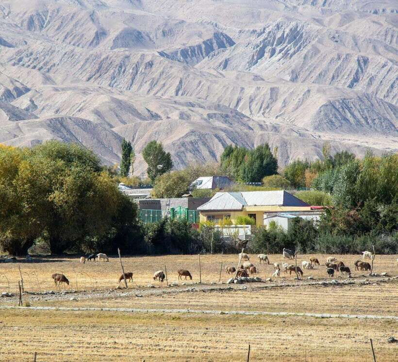 Xi'an: 12-Day Silk Road Tour to Kashgar - What Makes This Tour Stand Out?