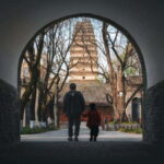 Xi'an City Wall+ Terracotta Army Museum Group Day Tour - A Deep Dive into the Experience