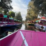 Xochimilco and Garibaldi: Tradition and Music - Exploring the Details of the Tour