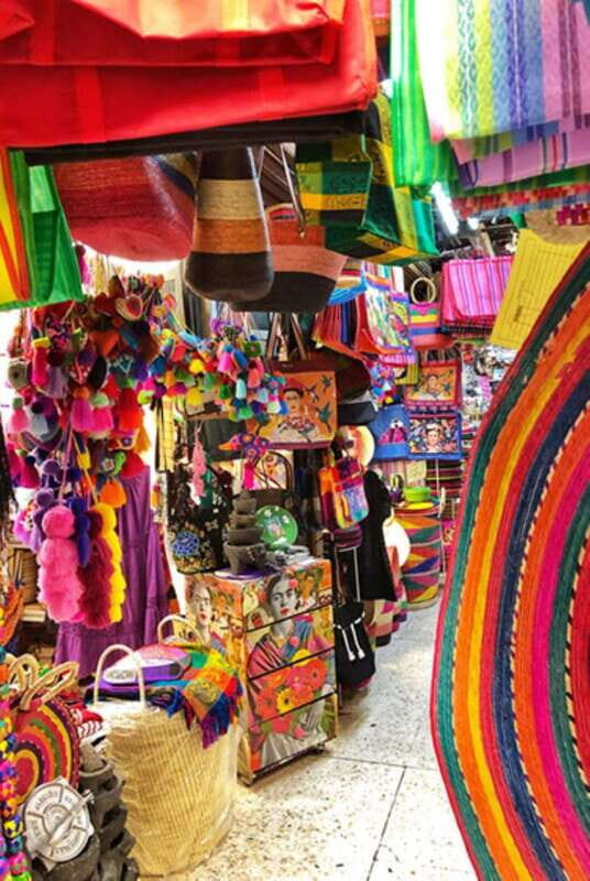 Xochimilco Canals and the Treasures of Coyoacán Tour - Exploring the Canals of Xochimilco and Beyond