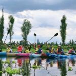Xochimilco Canals by Kayak - What Makes This Experience Special?