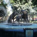 Xochimilco, Coyoacan and Frida Kahlo Museum Tour - In-Depth Review: What the Tour Looks Like and What You Can Expect