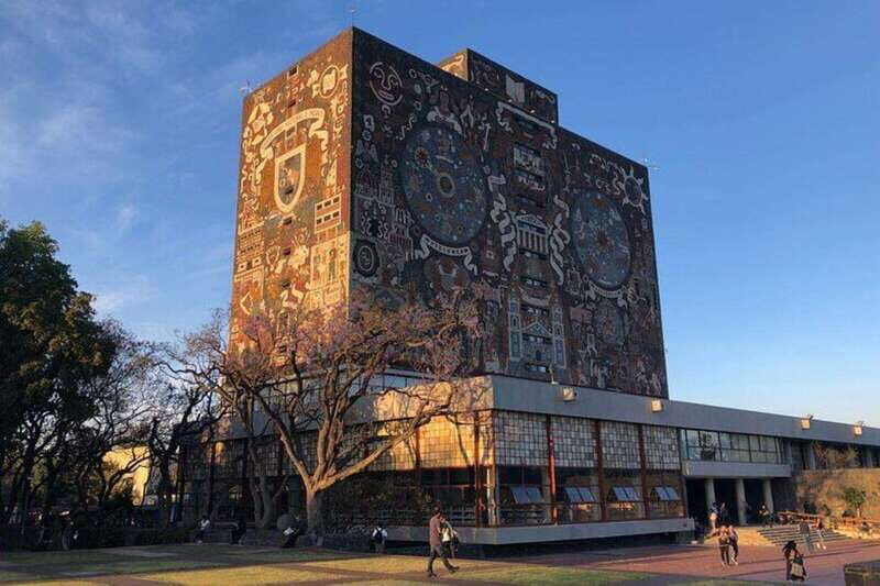 Xochimilco floating gardens, Coyoacan and UNAM murals - Discovering Mexico City’s Hidden Gems