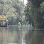 Xochimilco Serene: A Calm Cultural Escape from the Crowds - Why This Tour Works Well for Travelers