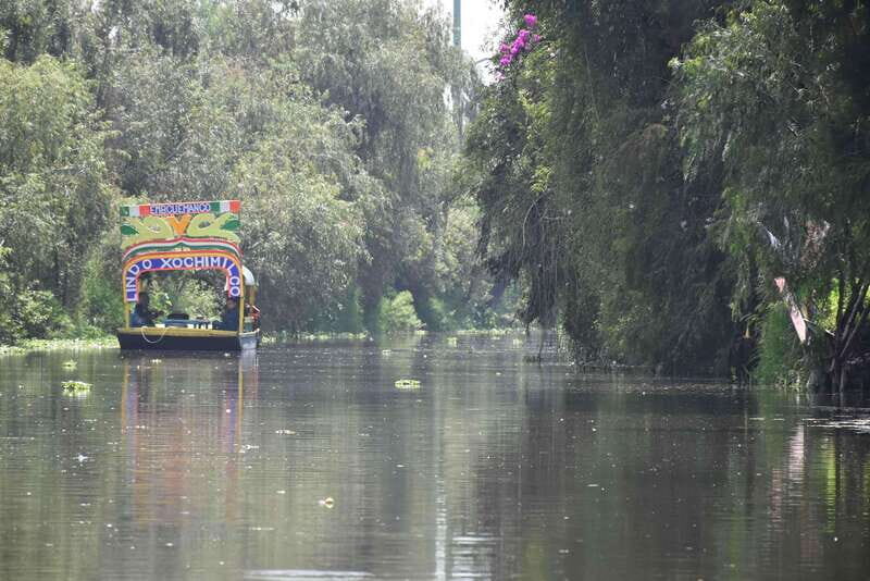Xochimilco Serene: A Calm Cultural Escape from the Crowds - Why This Tour Works Well for Travelers