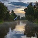 Xochimilco Sunrise from Mexico - Key Points