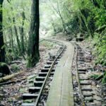 Yakushima Private Island Sights Tour with English Speaking Guide - In-Depth Look at the Yakushima Private Sights Tour