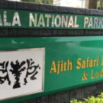 YALA National Park (7 - hours) Wildlife Safari Tour - The Sum Up: Is It Worth It?