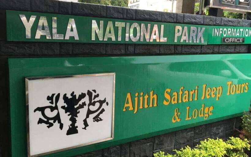 YALA National Park (7 - hours) Wildlife Safari Tour - The Sum Up: Is It Worth It?