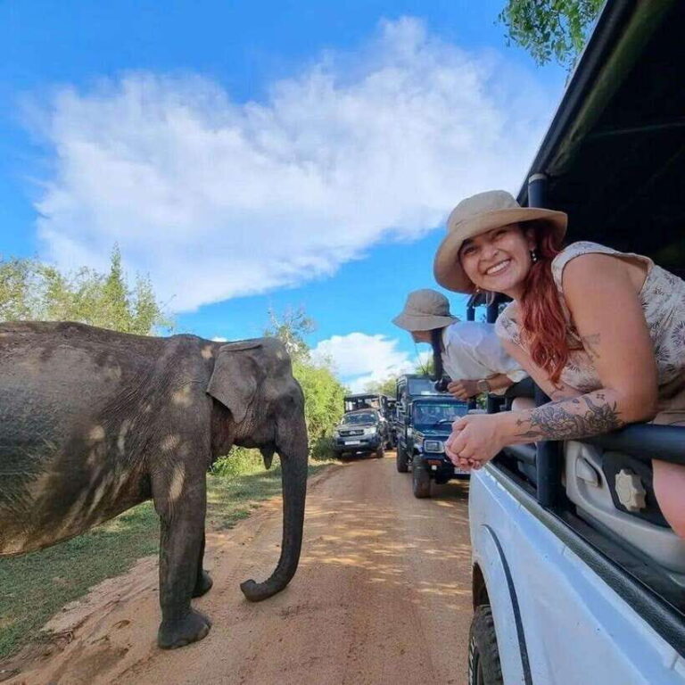 Yala National Park: All Inclusive Private Safari Day Trip - An In-Depth Look at the Yala Safari Experience