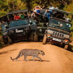 Yala National Park: Entrance Ticket - The Cost-Benefit Balance