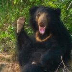 Yala National Park - Full Day Safari (04:30 am - 06:00 pm) - Frequently Asked Questions