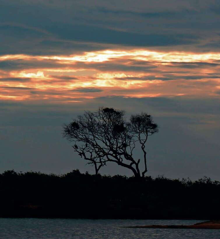 Yala National Park: Full day Safari Tour - What the Tour Includes and What You Should Budget For