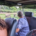 Yala National Park : Full Day Safari(04:30-18:00) - Why This Tour Offers Good Value