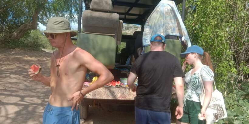 Yala National Park Half day Safari - The Experience: What You Can Expect