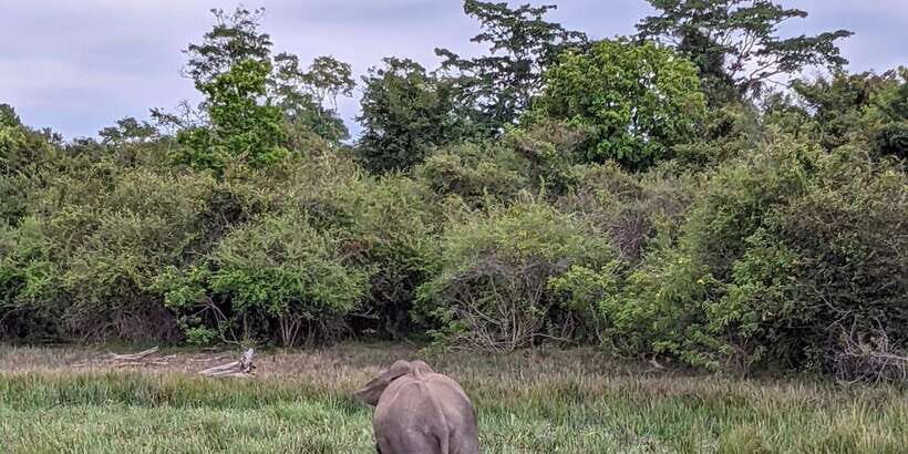 Yala National Park: Morning Afternoon Safari (All Inclusive) - Location and Accessibility