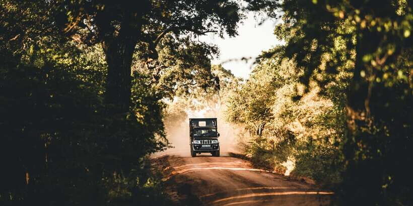 Yala National Park: Morning or Afternoon Game Drive - A Deep Dive Into the Yala Safari Experience