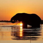 Yala National Park: Private Full Day Safari (04:00-18:00) - Why This Tour Stands Out