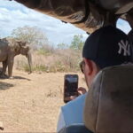 Yala National park Safari Tour From Colombo / Galle - Who Is This Tour Best For?