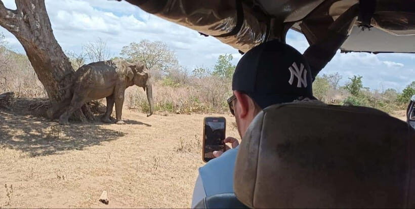 Yala National park Safari Tour From Colombo / Galle - Who Is This Tour Best For?