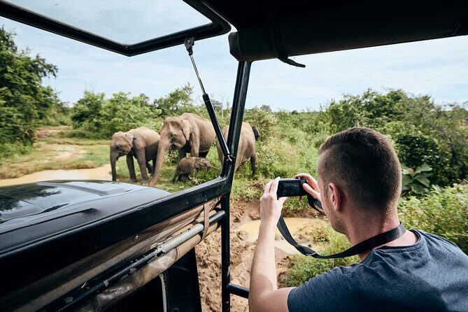 Yala National Park Wildlife Safari/ Game Drive - by Ajith Safari - Who Will Love This Safari?