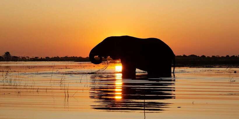 Yala National Park:Full Day Safari (4.00am-6.00pm) - What Makes This Tour Stand Out?