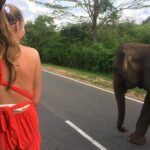 Yala Safari Drive From Galle, Weligama, Mirissa & Dickwella - Authentic Experiences from Real Travelers