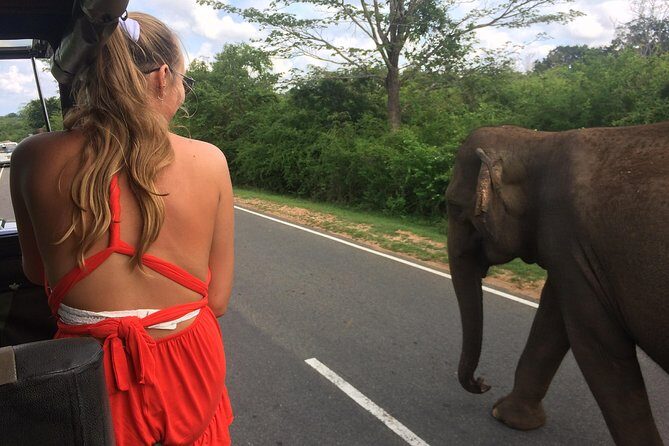 Yala Safari Drive From Galle, Weligama, Mirissa & Dickwella - Authentic Experiences from Real Travelers