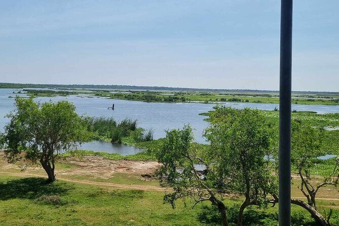 Yala safari from Galle / Unawatuna / Waligama / MIrissa / Matara - What We Think: Who Is This Tour Best For?