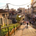 Yanaka District: Historical Walking Tour in Tokyo's Old Town - Authenticity and Value